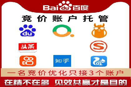 行业领先企业的SEM推广策略揭秘
